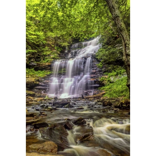 Pennsylvania, Ricketts Glen SP Mohican Falls